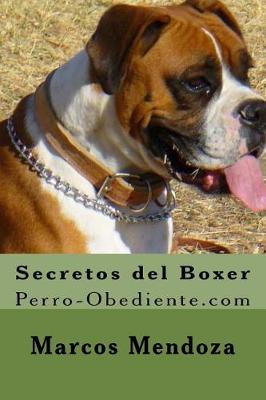 Book cover for Secretos del Boxer