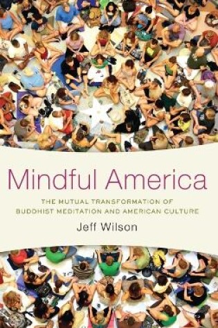 Cover of Mindful America