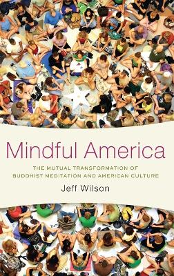 Book cover for Mindful America