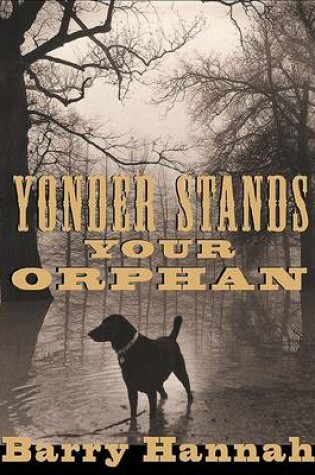 Cover of Yonder Stands Your Orphan