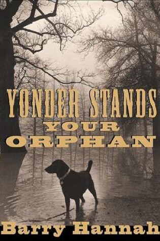 Yonder Stands Your Orphan