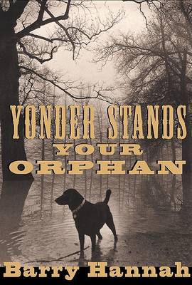 Book cover for Yonder Stands Your Orphan
