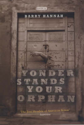 Book cover for Yonder Stands Your Orphan