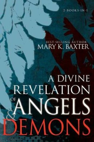 Cover of A Divine Revelation of Angels & Demons