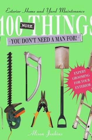 Cover of 100 More Things You Dont Need..Man