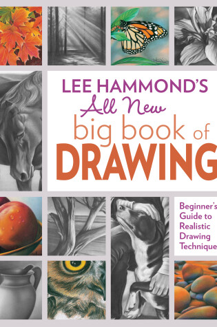 Cover of Lee Hammond's All New Big Book of Drawing