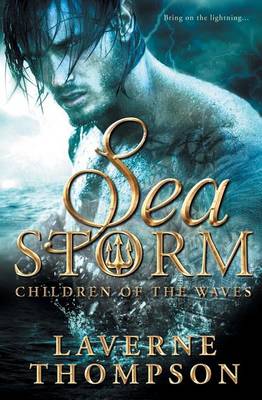 Book cover for Sea Storm