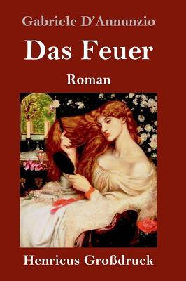 Book cover for Das Feuer (Großdruck)