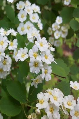 Cover of 2019 Daily Planner Summer White Blooms 384 Pages