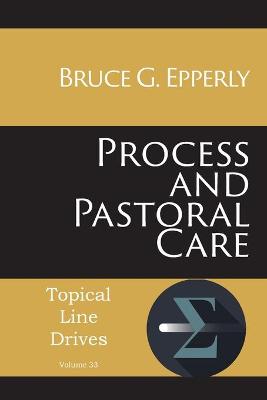 Book cover for Process and Pastoral Care