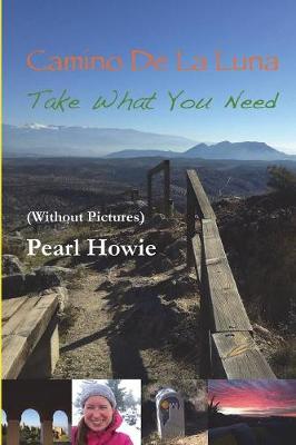 Book cover for Camino De La Luna - Take What You Need (Without Pictures)