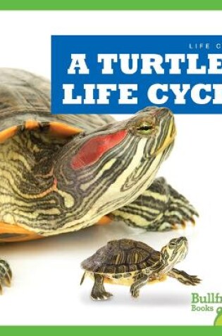 Cover of A Turtle's Life Cycle