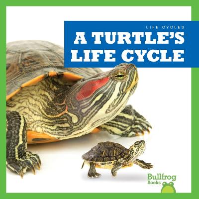 Cover of A Turtle's Life Cycle