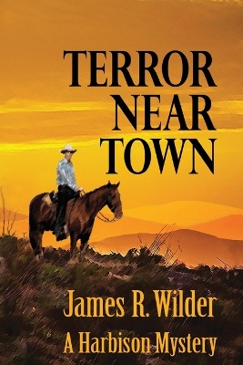 Book cover for Terror Near Town