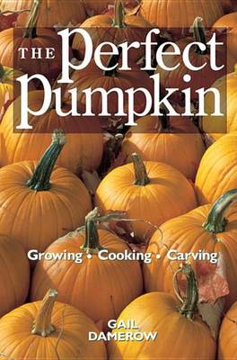 Book cover for The Perfect Pumpkin