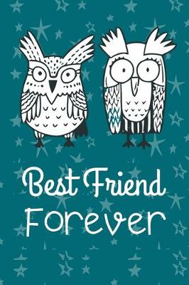 Book cover for Best Friends Forever! Funny Doodle Owls