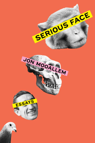 Book cover for Serious Face