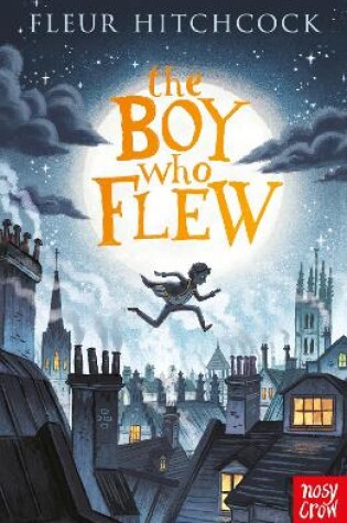 Cover of The Boy Who Flew