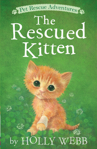 Book cover for The Rescued Kitten