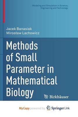 Book cover for Methods of Small Parameter in Mathematical Biology