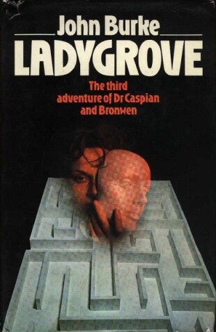 Book cover for Ladygrove