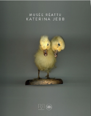 Book cover for Katerina Jebb