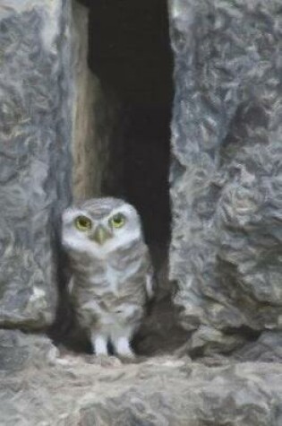 Cover of Owl And A Rock Crevasse - Lined Notebook with Margins