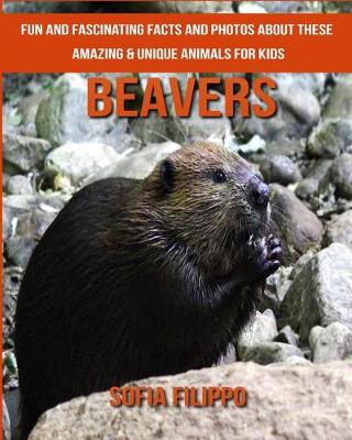 Book cover for Beavers