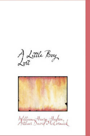 Cover of A Little Boy Lost