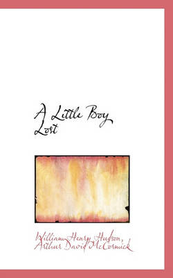 Book cover for A Little Boy Lost