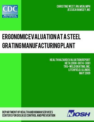 Book cover for Ergonomic Evaluation at a Steel Grating Manufacturing Plant