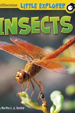 Cover of Insects (Little Scientist)