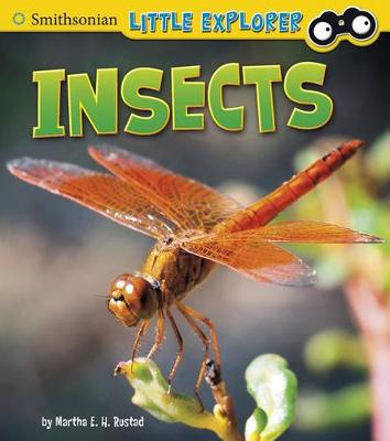 Book cover for Little Scientist Insects