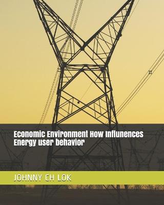 Cover of Economic Environment How Influnences Energy user behavior