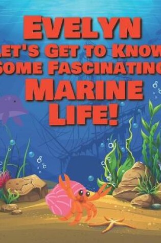 Cover of Evelyn Let's Get to Know Some Fascinating Marine Life!