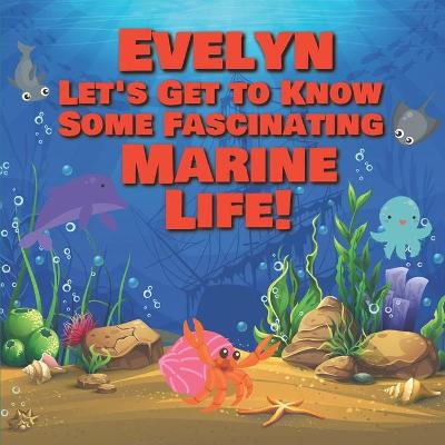 Cover of Evelyn Let's Get to Know Some Fascinating Marine Life!