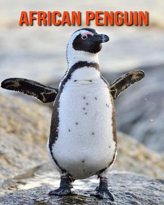 Book cover for African Penguin