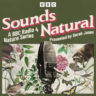 Book cover for Sounds Natural