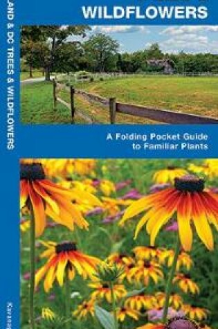 Cover of Maryland & DC Trees & Wildflowers