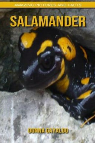 Cover of Salamander