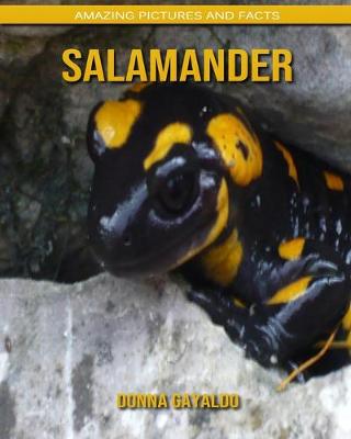 Book cover for Salamander