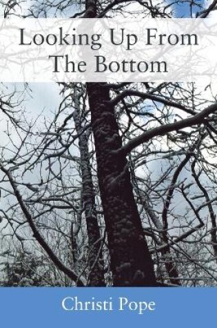 Cover of Looking Up From The Bottom