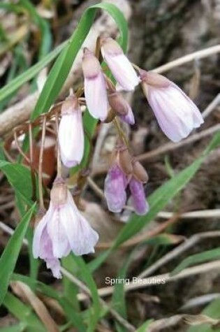 Cover of Spring Beauties