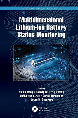 Book cover for Multidimensional Lithium-Ion Battery Status Monitoring