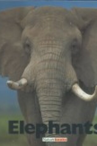 Cover of Elephants