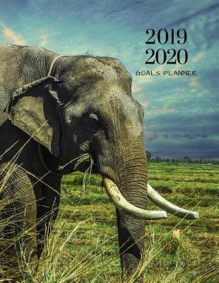 Book cover for 2019 2020 Baby Elephant 15 Months Daily Planner