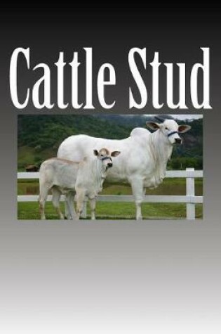 Cover of Cattle Stud