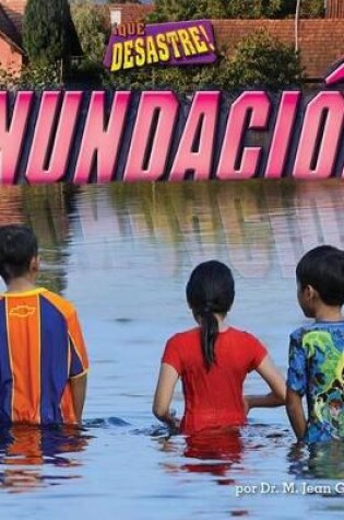 Cover of Inundación (Flood)