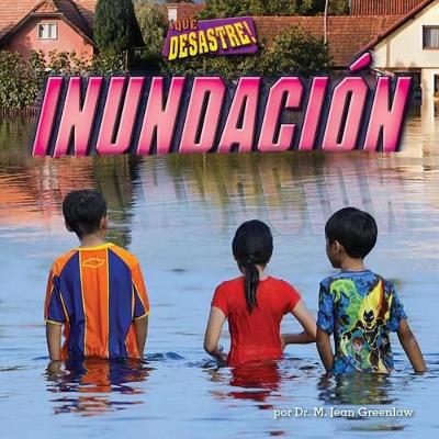 Book cover for Inundación (Flood)