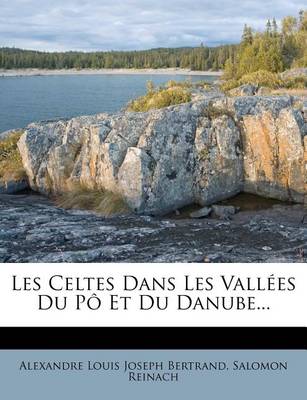 Book cover for Les Celtes Dans Les Vallees Du Po Et Du Danube...